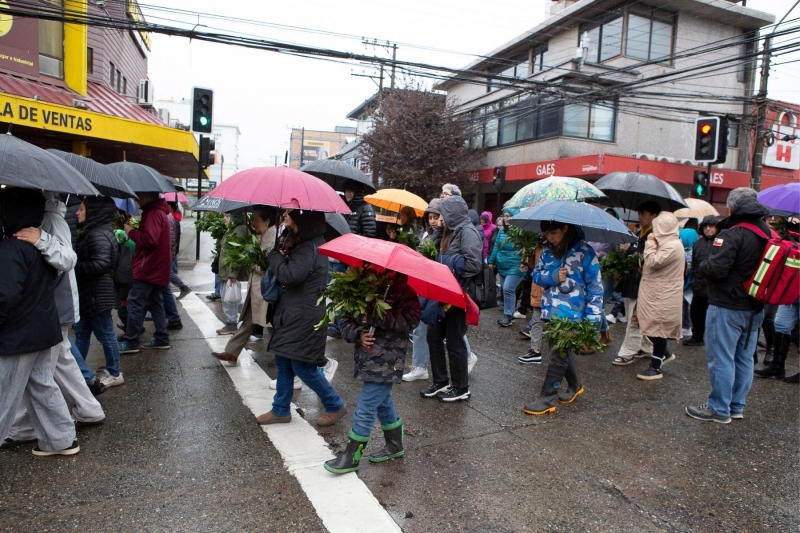 Inicia la Semana Santa 2026 con la Solemnidad de Domingo de Ramos
